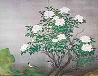 金島桂華